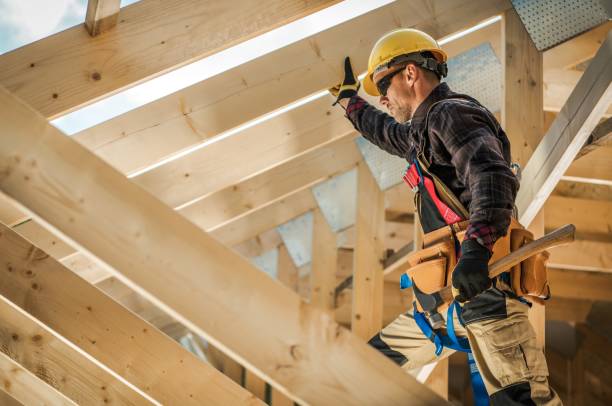Best Local Roofing Companies  in Foley, MN