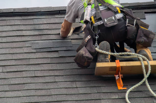 Best Roof Gutter Cleaning  in Foley, MN