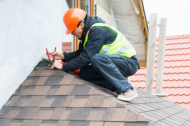 Best Roof Gutter Cleaning  in Foley, MN