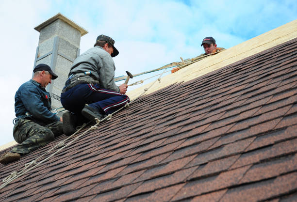 Best Local Roofing Companies  in Foley, MN