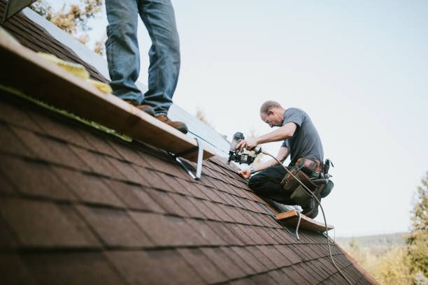 Best New Roof Installation  in Foley, MN