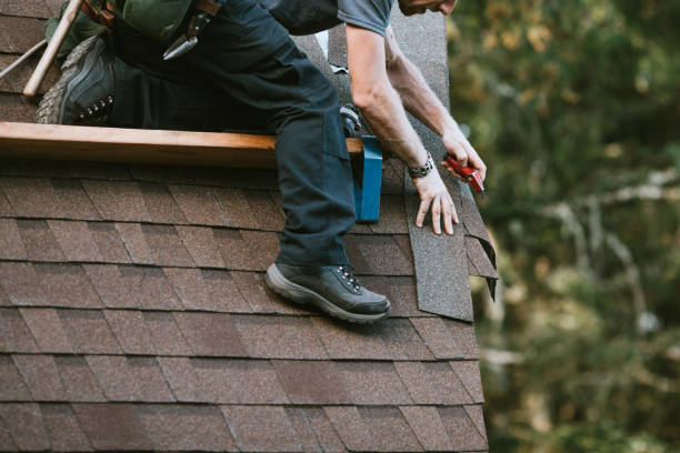 Best Flat Roof Repair Services  in Foley, MN